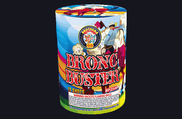 Bronc Buster BP2541