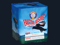 Falcon Rising BP2893