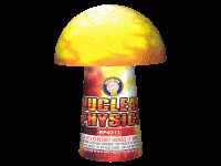 Nuclear Physics BP4313